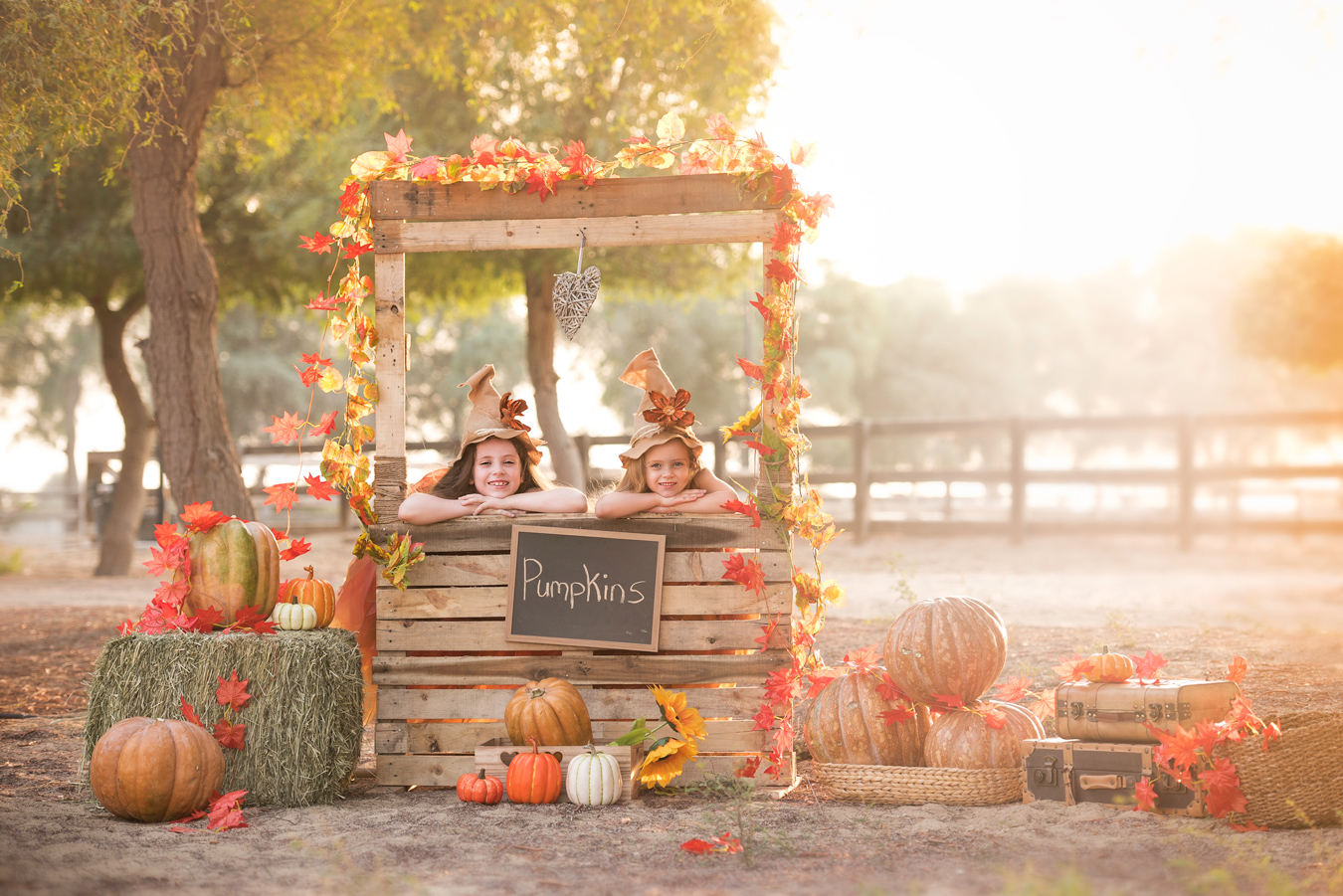 Marketing mini sessions for photographers: Strategies to boost revenue and client engagement.